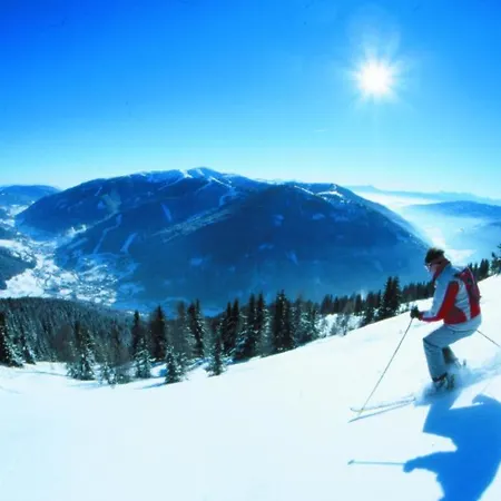 Skyloft Bergnest *