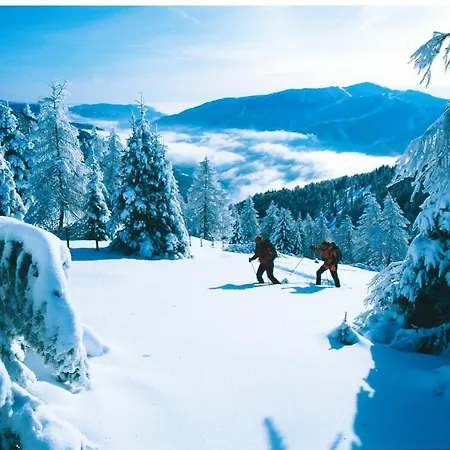 Skyloft Bergnest *
